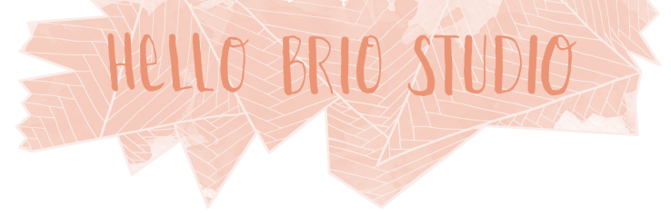 Hello Brio Studio