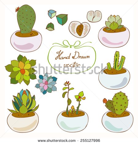 stock-vector-succulent-and-cactus-hand-drawn-vector-255127996