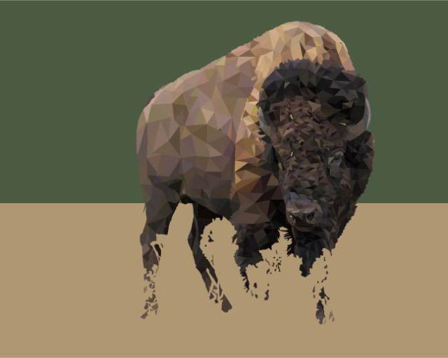 american-bison-art.jpg